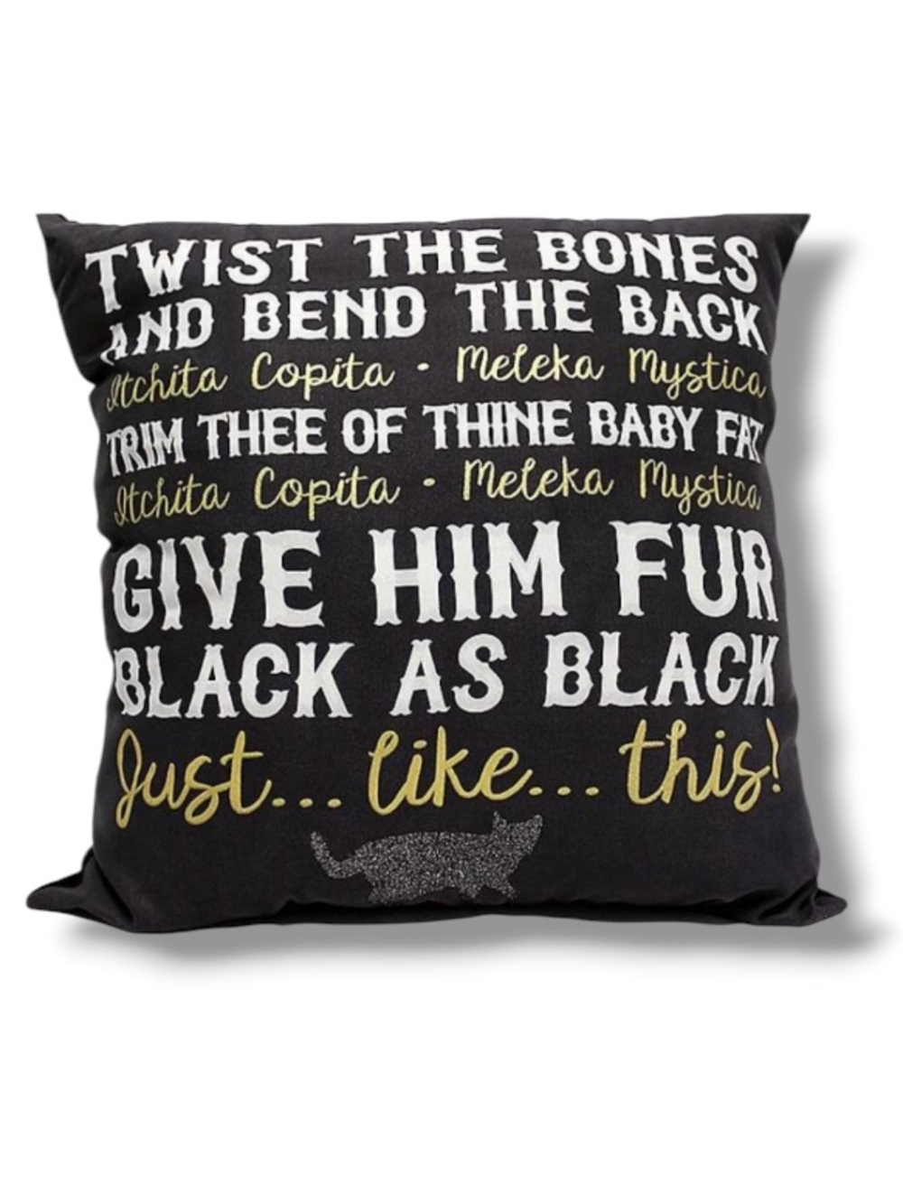 Disney Hocus Pocus Witches Spell Black Cat Sham Pillow Halloween Decor